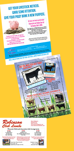 Print Advertisements