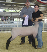 Reserve Iowa State Fair Open Show