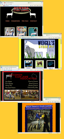Web Design by Novel Design