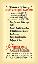 Miller's Viewlawn Angus