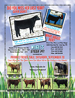 Weigel's Steer Pit