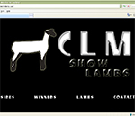 CLM Show Lambs