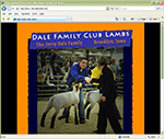 Dale Family Club Lambs