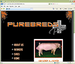 Purebreds Plus