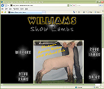 Williams Show Lambs