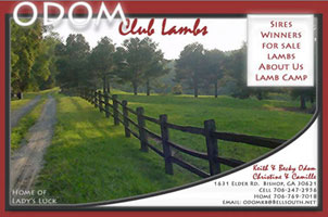Odom Club Lambs