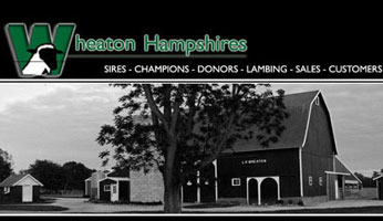 Wheaton Hampshires