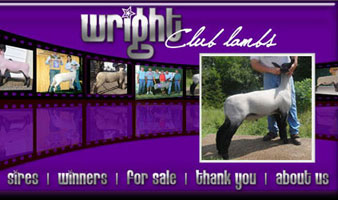 Wright Club Lambs