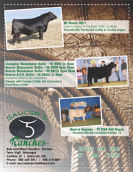 Saucer 5 Ranches - Print Advertisement Design