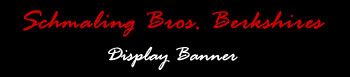 Schmaling Bros