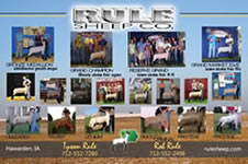 PVC Display Sign for Rule Sheep Co.