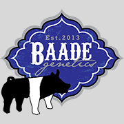 Baade Genetics