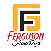 Ferguson