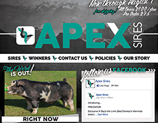 Apex Sires