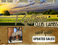 Rystrom Club Lambs